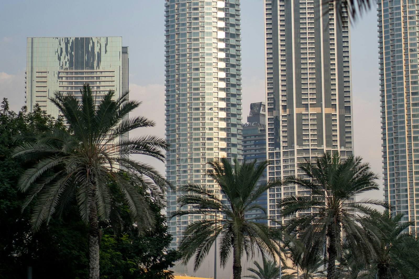 Dubai high-rise towers framed by date palms, representing ORA International's growth platform across the GCC